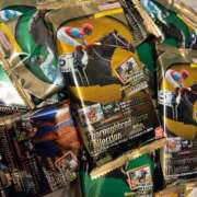 ヒメ日記 2025/06/29 14:17 投稿 かぐら ベイビーモコ