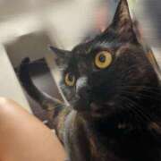 ヒメ日記 2025/07/12 17:30 投稿 かぐら ベイビーモコ