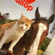 ヒメ日記 2025/08/05 21:28 投稿 かぐら ベイビーモコ