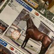 ヒメ日記 2025/08/24 19:31 投稿 かぐら ベイビーモコ