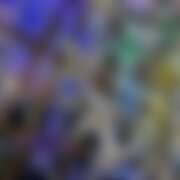 ヒメ日記 2025/08/27 22:34 投稿 かぐら ベイビーモコ