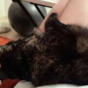 ヒメ日記 2025/10/13 08:06 投稿 かぐら ベイビーモコ