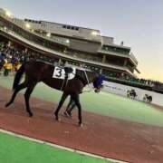 ヒメ日記 2025/12/08 14:18 投稿 かぐら ベイビーモコ