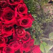 かぐら いてぼし。 ベイビーモコ