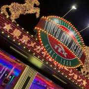 ヒメ日記 2025/12/18 16:50 投稿 かぐら ベイビーモコ