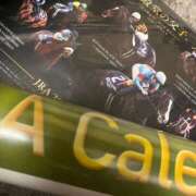 ヒメ日記 2025/12/26 22:43 投稿 かぐら ベイビーモコ