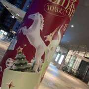 ヒメ日記 2025/12/29 08:33 投稿 かぐら ベイビーモコ