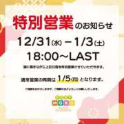ヒメ日記 2025/12/31 13:21 投稿 かぐら ベイビーモコ