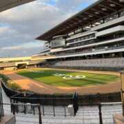 ヒメ日記 2026/01/05 18:42 投稿 かぐら ベイビーモコ