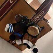 ヒメ日記 2026/01/06 16:09 投稿 かぐら ベイビーモコ