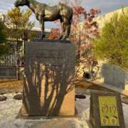 ヒメ日記 2026/01/12 14:03 投稿 かぐら ベイビーモコ