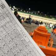 ヒメ日記 2026/02/22 12:42 投稿 かぐら ベイビーモコ