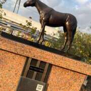 ヒメ日記 2026/03/08 13:02 投稿 かぐら ベイビーモコ