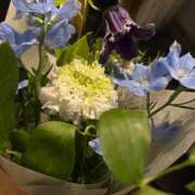 ヒメ日記 2026/04/25 23:33 投稿 かぐら ベイビーモコ