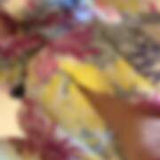 ヒメ日記 2026/05/30 03:12 投稿 かぐら ベイビーモコ