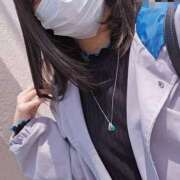 ヒメ日記 2025/04/19 11:51 投稿 わか 船橋ときめき女学園