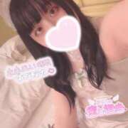 ヒメ日記 2024/12/26 07:32 投稿 しのぶ 白いぽっちゃりさん