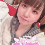 ヒメ日記 2025/01/24 00:21 投稿 しのぶ 白いぽっちゃりさん