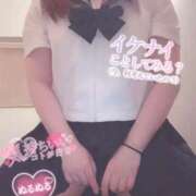 ヒメ日記 2025/01/27 16:12 投稿 しのぶ 白いぽっちゃりさん