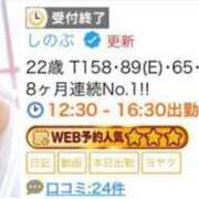 ヒメ日記 2025/04/15 12:03 投稿 しのぶ 白いぽっちゃりさん