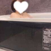 ヒメ日記 2025/06/11 08:02 投稿 しのぶ 白いぽっちゃりさん