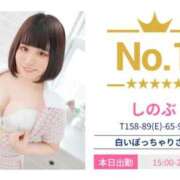 ヒメ日記 2025/11/02 23:32 投稿 しのぶ 白いぽっちゃりさん