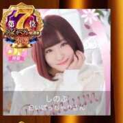 ヒメ日記 2025/12/03 18:03 投稿 しのぶ 白いぽっちゃりさん