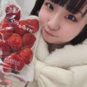 ヒメ日記 2026/02/10 07:42 投稿 しのぶ 白いぽっちゃりさん