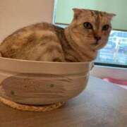 ヒメ日記 2024/12/16 08:36 投稿 さゆり 熟女の風俗アウトレット大垣安八羽島店