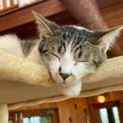 ヒメ日記 2024/12/26 17:56 投稿 さゆり 熟女の風俗アウトレット大垣安八羽島店