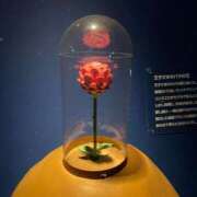 ヒメ日記 2024/12/27 13:06 投稿 さゆり 熟女の風俗アウトレット大垣安八羽島店