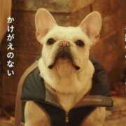 ヒメ日記 2024/12/28 14:16 投稿 さゆり 熟女の風俗アウトレット大垣安八羽島店