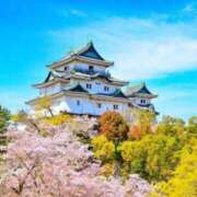 ヒメ日記 2025/01/05 13:46 投稿 さゆり 熟女の風俗アウトレット大垣安八羽島店