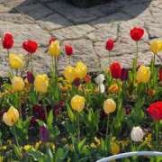 ヒメ日記 2025/01/06 13:16 投稿 さゆり 熟女の風俗アウトレット大垣安八羽島店