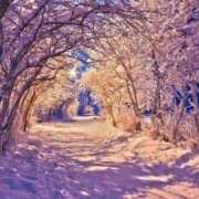 ヒメ日記 2025/01/08 16:16 投稿 さゆり 熟女の風俗アウトレット大垣安八羽島店