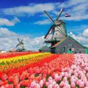 ヒメ日記 2025/01/12 14:36 投稿 さゆり 熟女の風俗アウトレット大垣安八羽島店