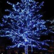 ヒメ日記 2025/01/13 08:36 投稿 さゆり 熟女の風俗アウトレット大垣安八羽島店