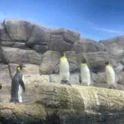 ヒメ日記 2025/02/04 08:56 投稿 さゆり 熟女の風俗アウトレット大垣安八羽島店