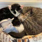 ヒメ日記 2025/02/28 16:56 投稿 さゆり 熟女の風俗アウトレット大垣安八羽島店