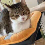 ヒメ日記 2025/03/01 08:47 投稿 さゆり 熟女の風俗アウトレット大垣安八羽島店