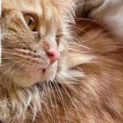 ヒメ日記 2025/03/02 08:54 投稿 さゆり 熟女の風俗アウトレット大垣安八羽島店