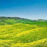 ヒメ日記 2025/04/03 08:56 投稿 さゆり 熟女の風俗アウトレット大垣安八羽島店