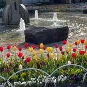 ヒメ日記 2025/04/04 09:16 投稿 さゆり 熟女の風俗アウトレット大垣安八羽島店