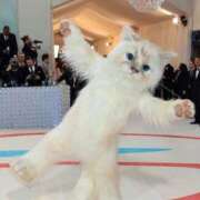 ヒメ日記 2025/04/05 09:46 投稿 さゆり 熟女の風俗アウトレット大垣安八羽島店