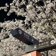 ヒメ日記 2025/04/08 09:16 投稿 さゆり 熟女の風俗アウトレット大垣安八羽島店