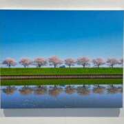 ヒメ日記 2025/04/09 08:56 投稿 さゆり 熟女の風俗アウトレット大垣安八羽島店