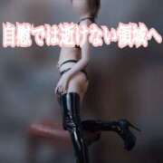 ヒメ日記 2025/05/15 15:01 投稿 みらん 世界のあんぷり亭 新宿総本店