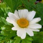 ヒメ日記 2025/11/06 19:27 投稿 マリア 熟女デリヘル倶楽部