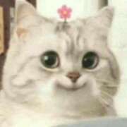 ヒメ日記 2025/04/10 11:46 投稿 りりな ダイスキ