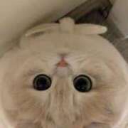 ヒメ日記 2025/04/20 15:55 投稿 りりな ダイスキ